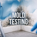Mold Testing