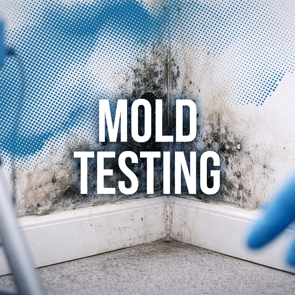Mold Testing