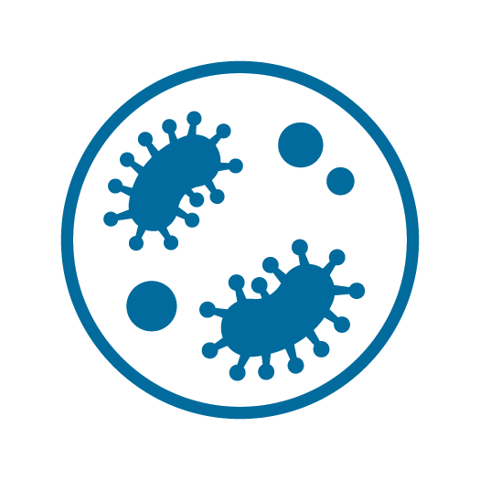 Bacteria Testing
