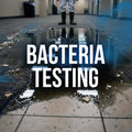 Bacteria Testing