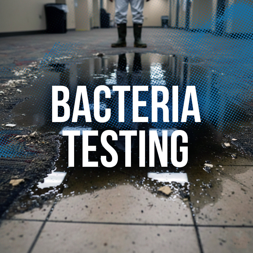 Bacteria Testing